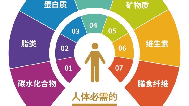 小标题：氨糖软骨素的作用原理
